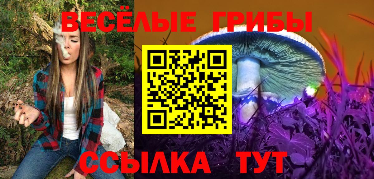 Галлюциногенные грибы GOLDEN TEACHER Артём