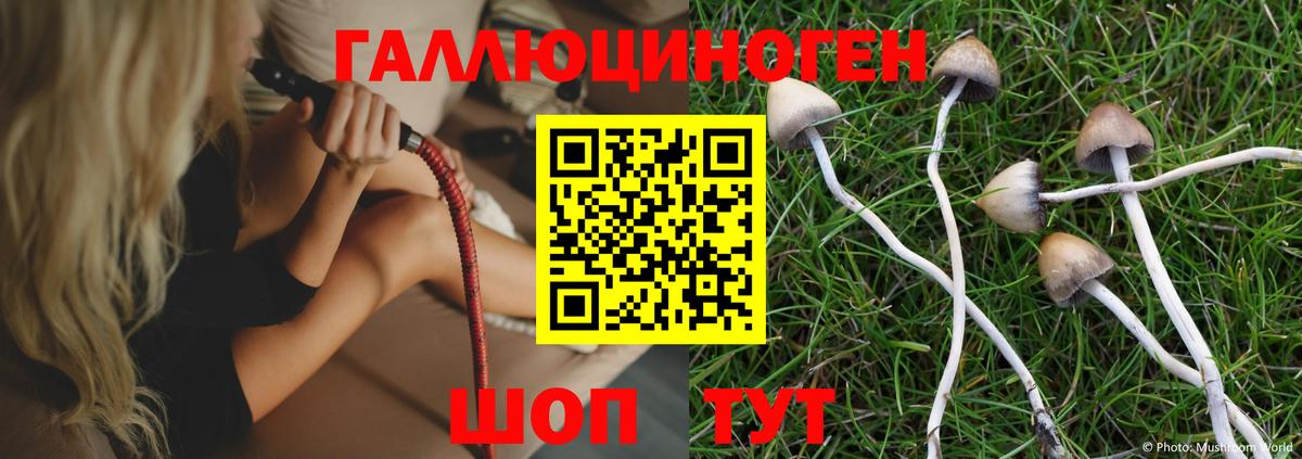 Артём  Галлюциногенные грибы Magic Shrooms  где найти наркотики  Вход с VPN 